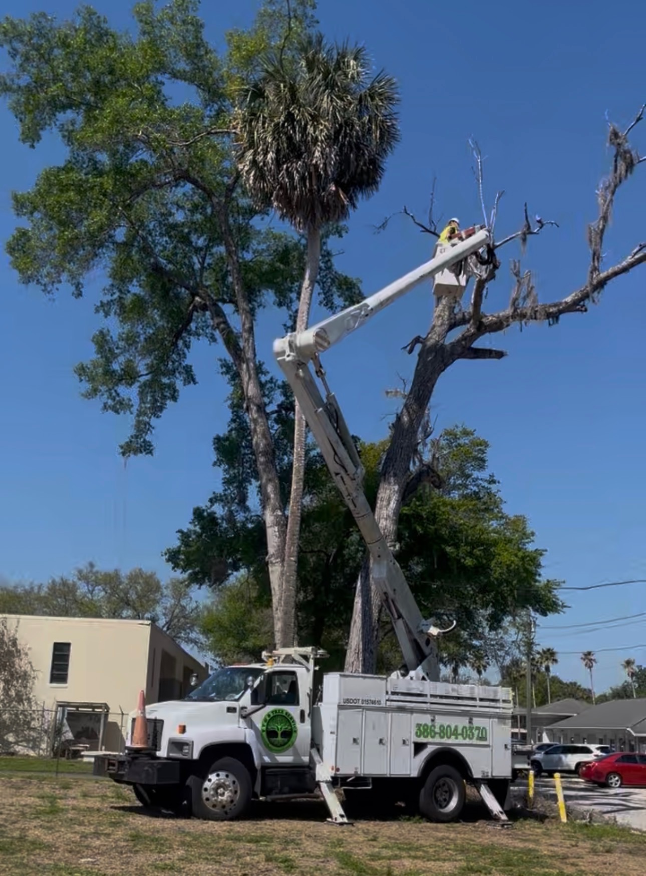 Tucker's Tree & Bobcat Services crew and equipment