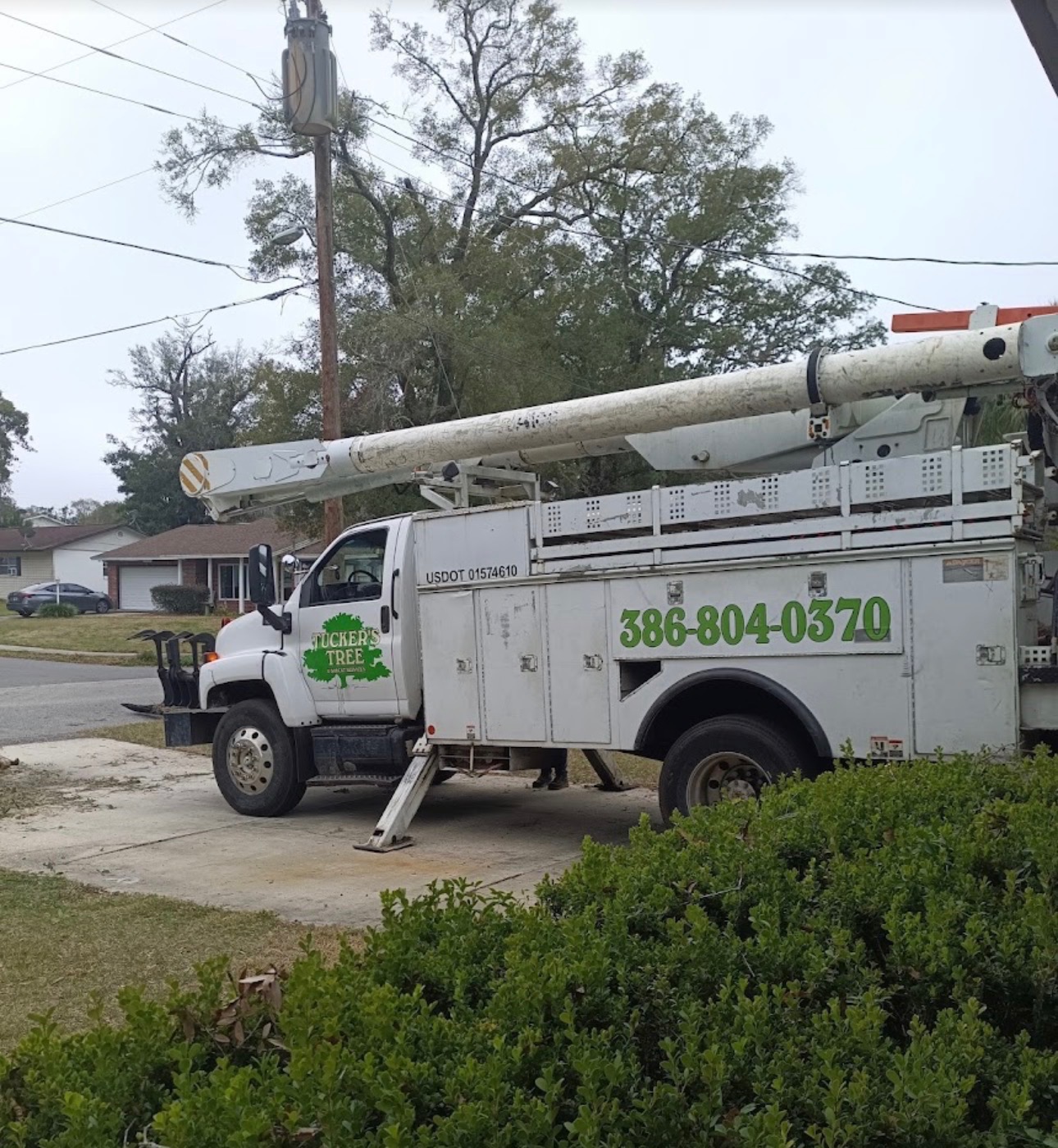 Residential and commercial tree trimming FL
